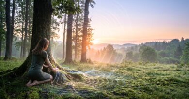 Tuning in: how to align your vibration with the pulse of the Earth