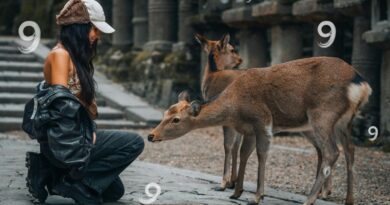Een jonge vrouw die teder contact maakt met herten in een natuurlijke omgeving, omringd door het getal 9, wat de empathie van levenspad nummer 9 in de numerologie symboliseert.
