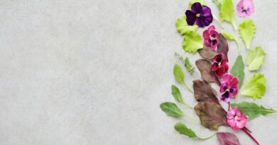 Kleurrijke selectie van paarse en roze eetbare viooltjes met verse groene saladeblaadjes op een grijze achtergrond.
