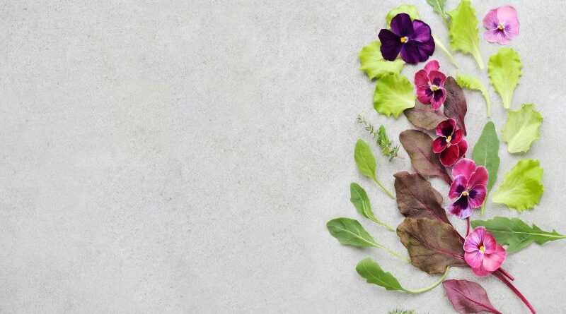 Kleurrijke selectie van paarse en roze eetbare viooltjes met verse groene saladeblaadjes op een grijze achtergrond.