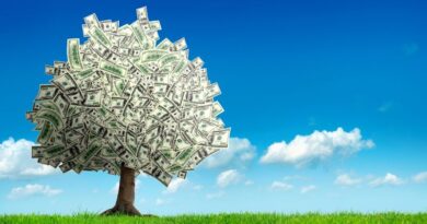 A vibrant money tree growing in a green field under a clear blue sky, symbolizing how to build a healthy financial future.