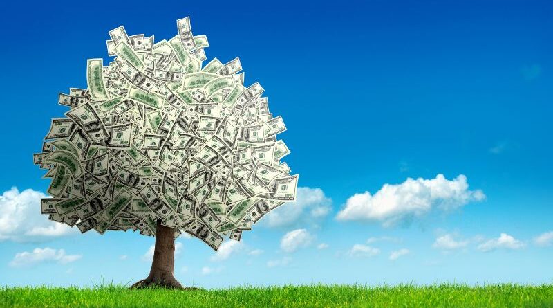 A vibrant money tree growing in a green field under a clear blue sky, symbolizing how to build a healthy financial future.