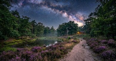 Sfeervolle nachtelijke landschapsfoto van een kronkelend zandpad door een bloeiend paars heideveld met een verlicht houten huisje onder de Melkweg