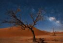 Dode bomen in de Deadvlei woestijn van Namibië onder een heldere sterrenhemel met de Melkweg.