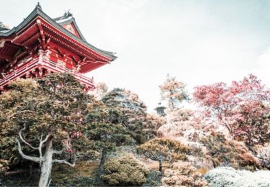 Ontdek je ikigai: 10 eenvoudige lessen voor een zinvol leven