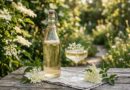 A bottle and a glass of sparkling homemade elderflower champagne on a rustic wooden table in a sunlit summer garden surrounded by white elderflowers.