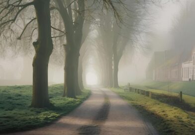 Een droomachtige, mistige bomenlaan die het niemandsland en het gevoel van zinloosheid tijdens spiritueel ontwaken symboliseert.