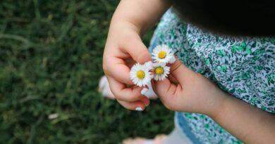 Een kind houdt een bosje witte madeliefjes vast als symbool voor onschuld en een nieuw